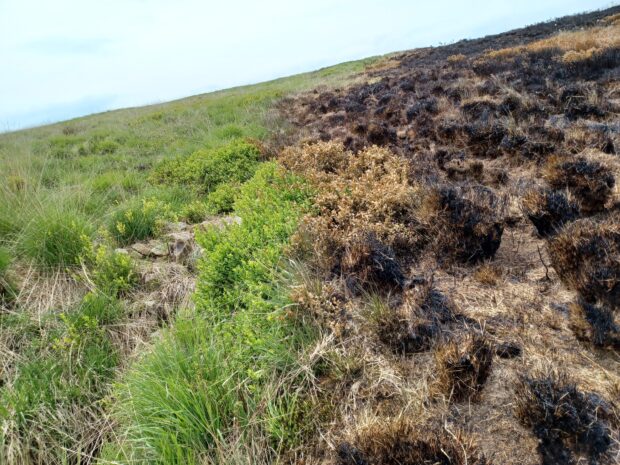 Burn stops at a blocked gully, Marsden Moor. Credit: Kate Divey-Matthews (National Trust)