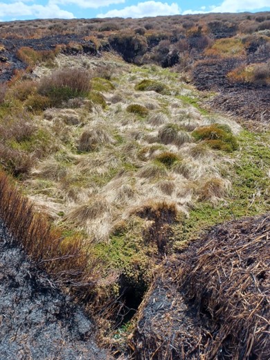 Marsden Moor. Credit: Kate Divey-Matthews (National Trust)