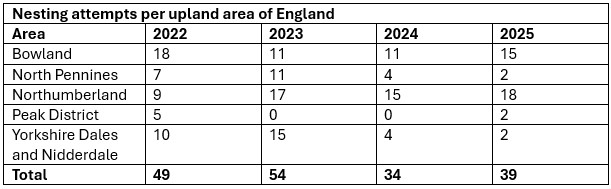A table showing nesting attempts per upland area of England, 2022 to 2025