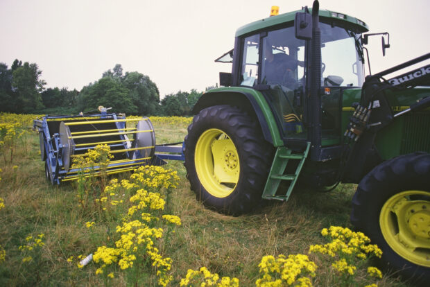 Mechanical removal of ragwort. Natural England