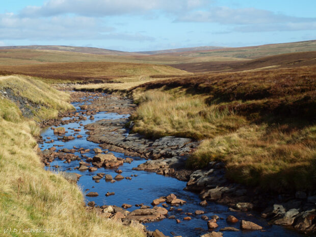 Moor House - Upper Teesdale National Nature Reserve. Copyright: Dave Glaves