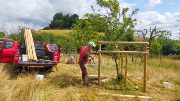 Restoration of historic orchards