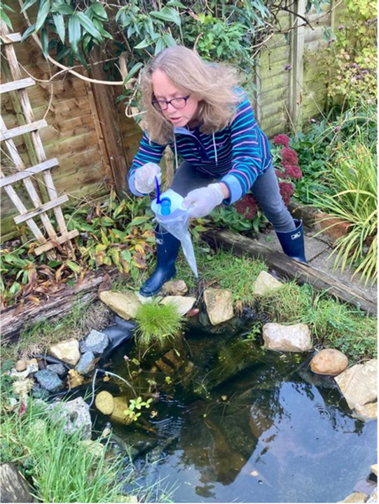 Collecting a pond sample from a private urban pond for the GenePools project.