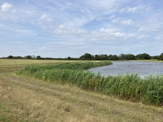 Picture of a nature reserve