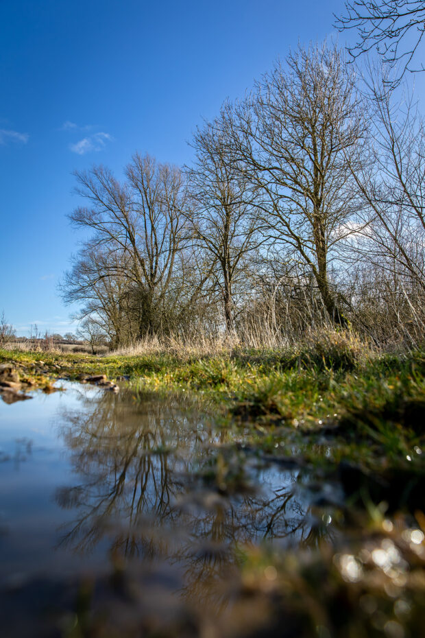 Landscape picture of Boothby wildland