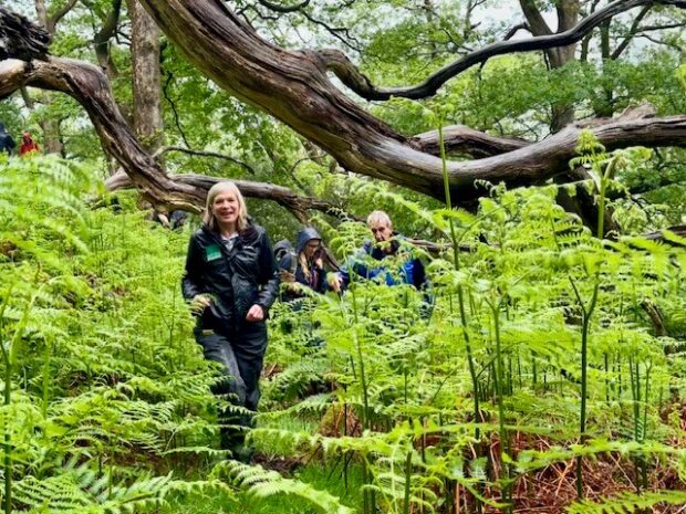 Marian Spain, CEO of Natural England, emerging from a very wet woodland at the declaration event for the Borrowdale National Nature Reserve, 22 May 2024. Credit: Phil Cullen