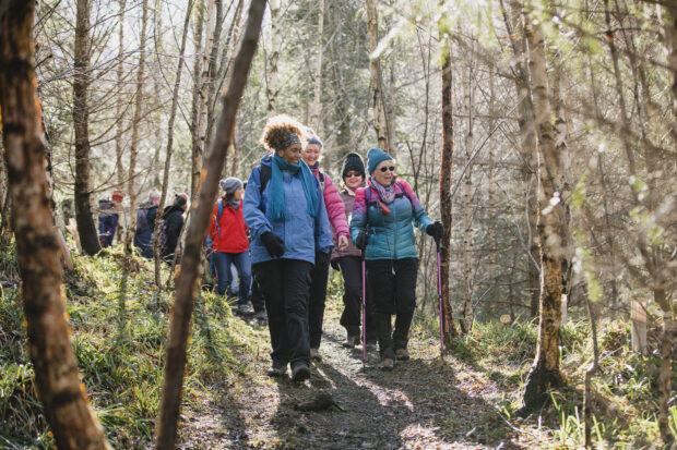 Female hikers of varied ages and races walking through a sunlit forest, with hiking poles and full hiking gear.