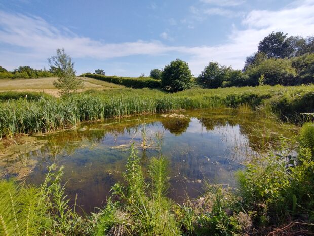A pond created by the DLL scheme
