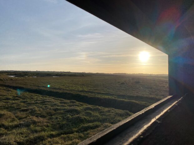 View from the podcast recording location – the bird hide at Abbotts Hall, Essex overlooking the new saltmarsh. Credit: Steve Roberts