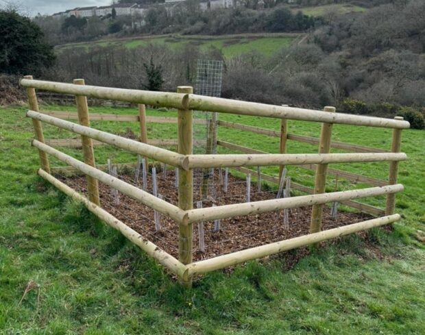 Plymouth Natural Grid - Seaton Valley fencing around smaller blocks of trees and scrub. Credit: Plymouth City Council.