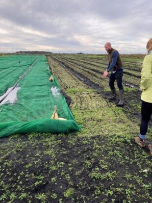 The Paludiculture and Wetter Farming Fund – strengthening the case for ...