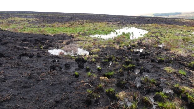Bunding on The Roaches, Peak District, playing a key role in slowing the spread of a wildfire on valued peatlands. Credit: Chris Fry