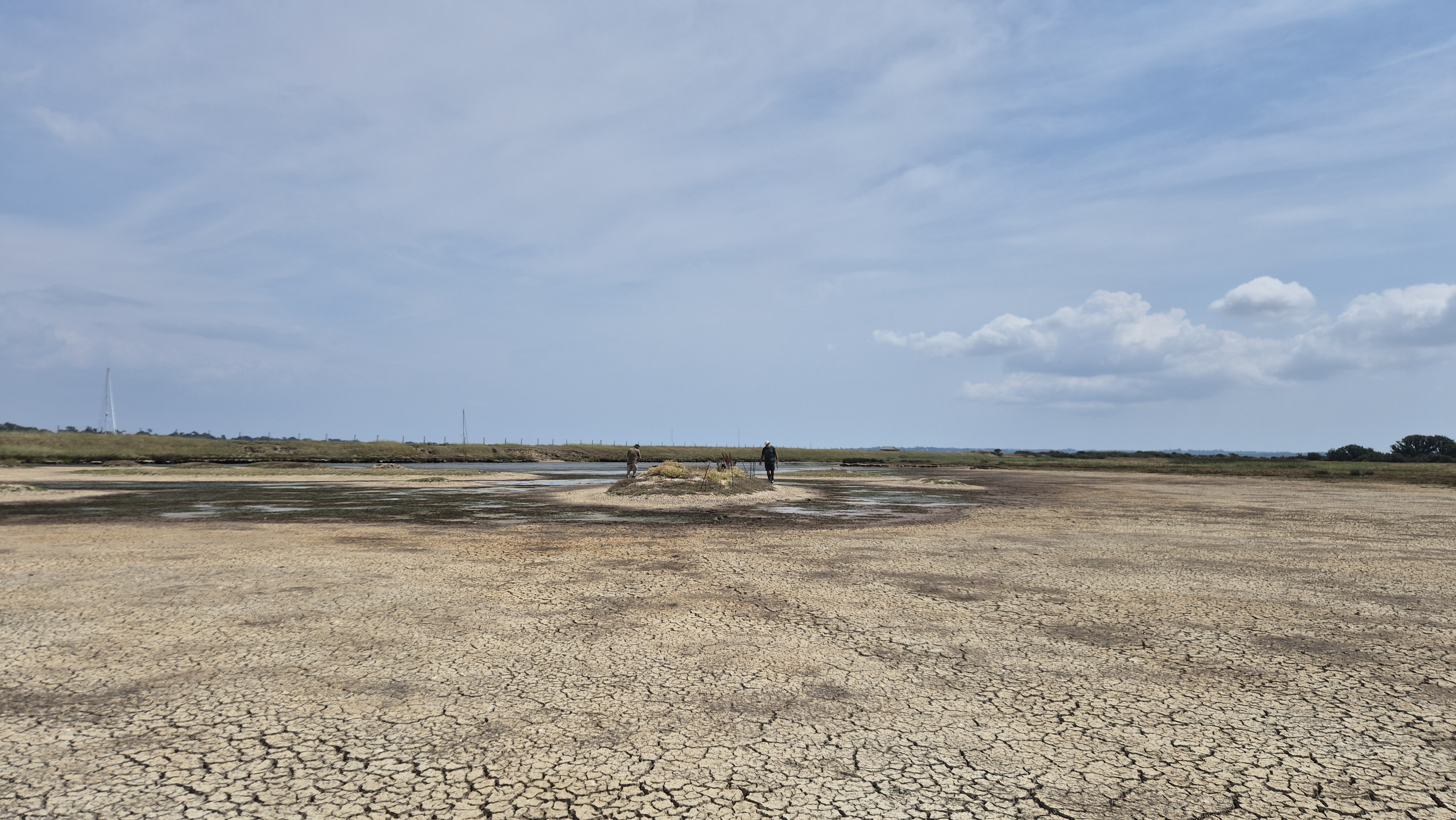Tackling Drought Why Nature based Solutions Are Key To A Resilient 