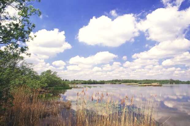 Rockland Broad, Yare Broads and Marshes SSSI, Norfolk. Credit: Peter Wakely
